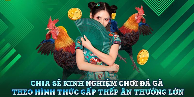 Các mẹo siêu đỉnh cao khi chơi tại trang website chọi kê